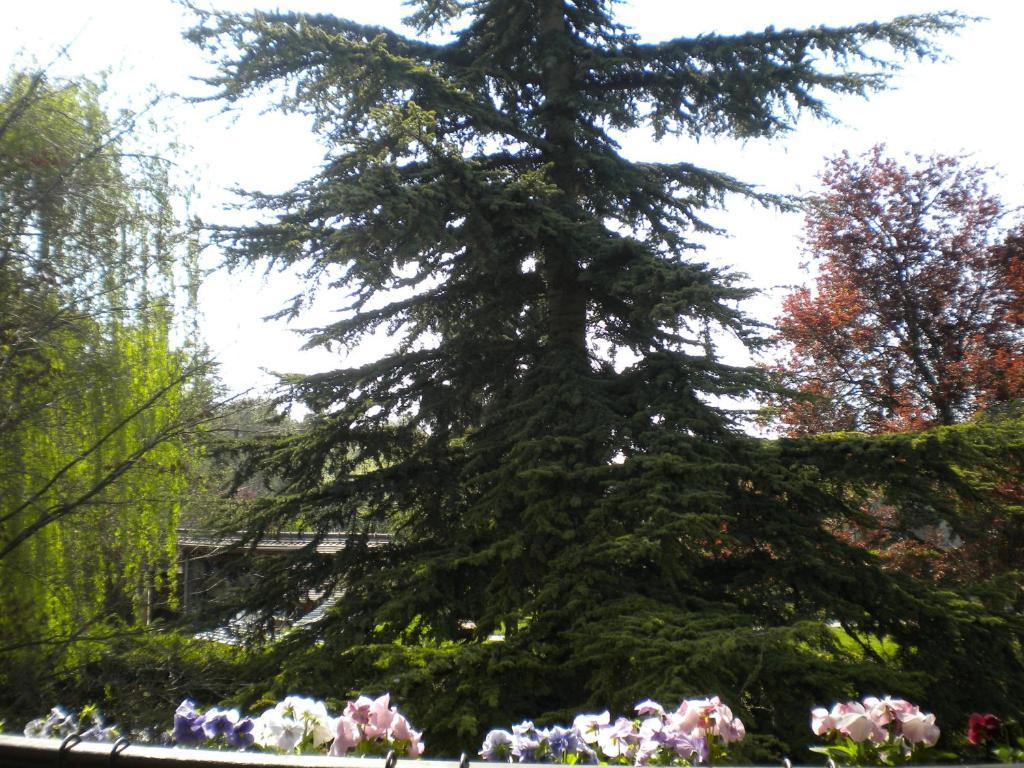 Villa Aux Marguerites Sainte-Genevieve-les-Gasny Habitación foto